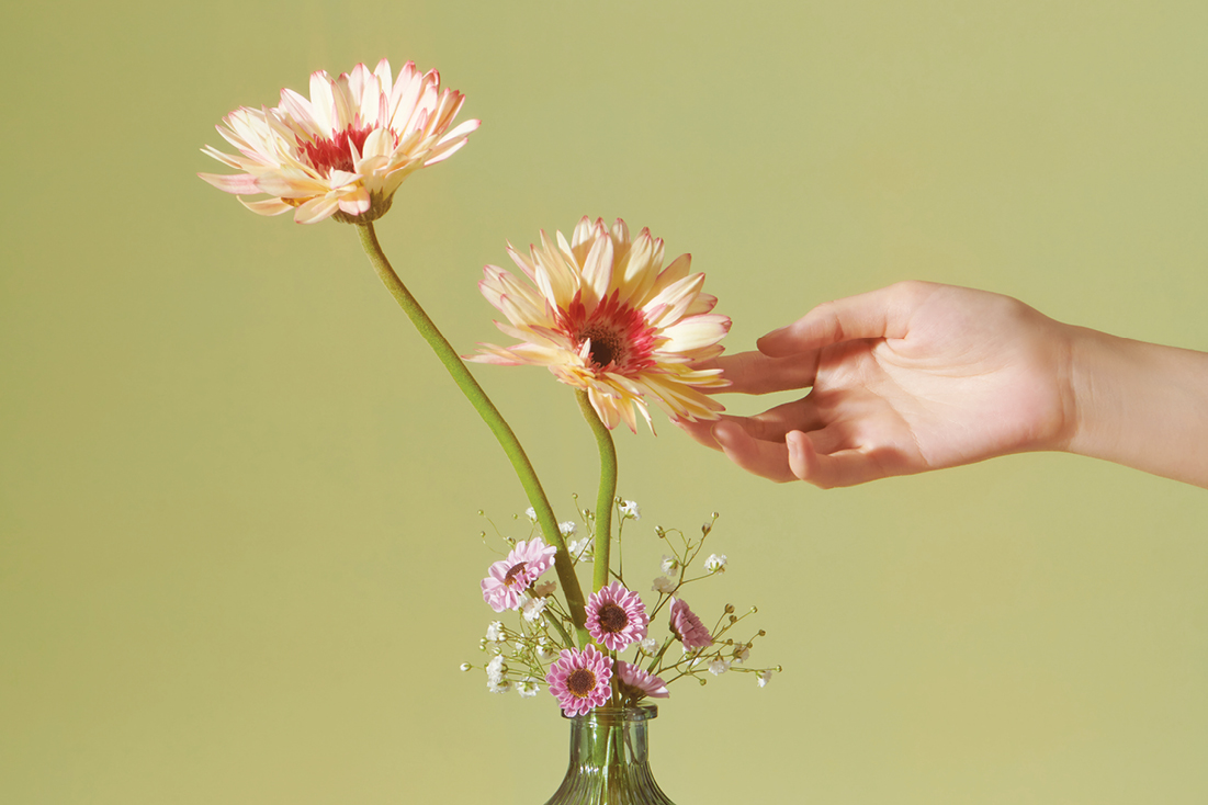 Creative Moments: Spring in Full Bloom at Rockland Centre